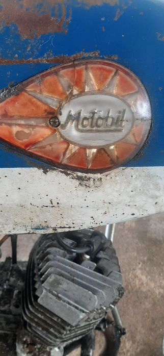 Casal de 4 para venda