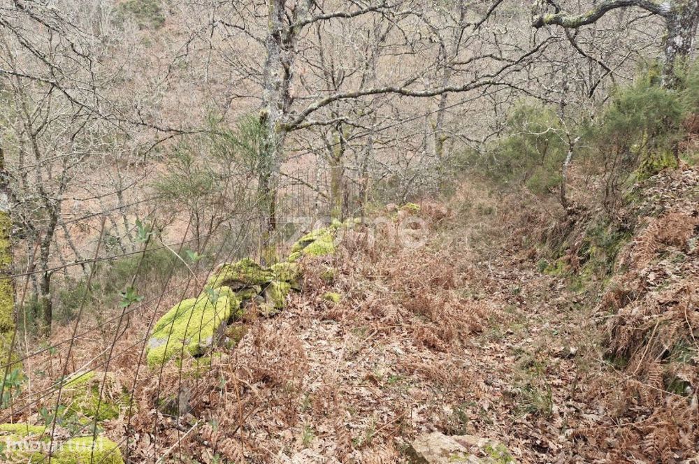 Terreno rústico para venda em Linharelhos, Montalegre