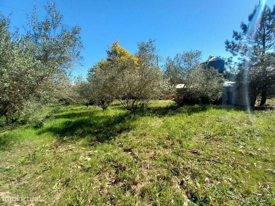 Quinta com 24750m2 Louriçal do campo