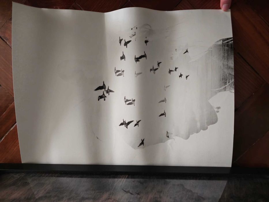 Poster Decenio (30x20 e 30x40)