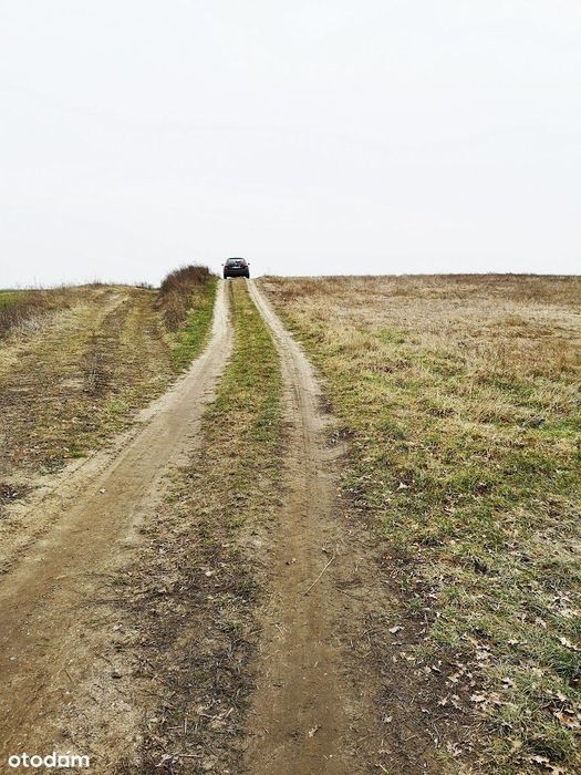 Wydzierżawię działkę rolną - Widok 2
