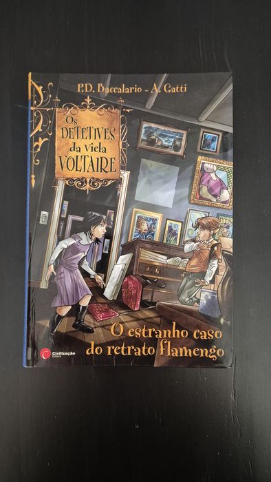 Livro " Os detetives da viela Voltaire "l