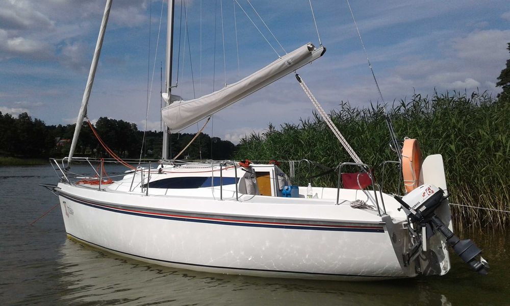 Sasanka 660 Supernowa