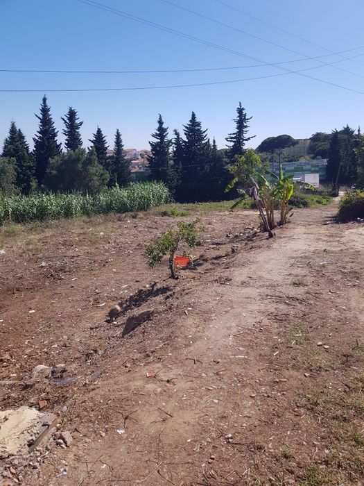Limpezas de casas e terrenos