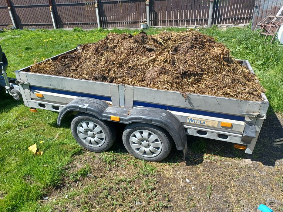 Obornika kurzy  z dostawą