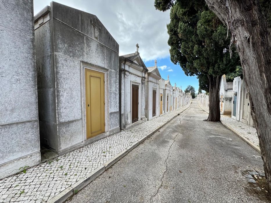 JAZIGO - Cemitério dos Prazeres - OPORTUNIDADE