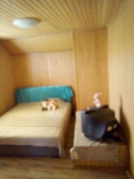 Продам дом /дачу в Кошарах