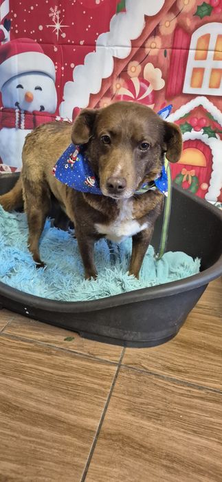 Piasek około siedem lat