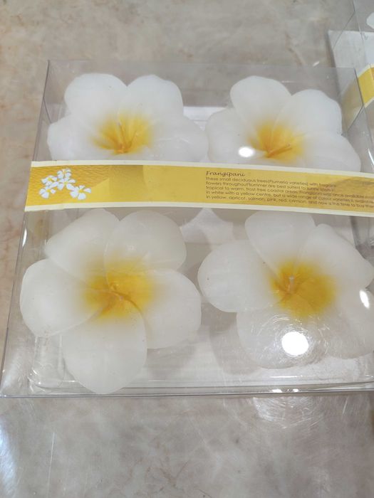 Lote de 12 velas decortivas novas em formato Flor