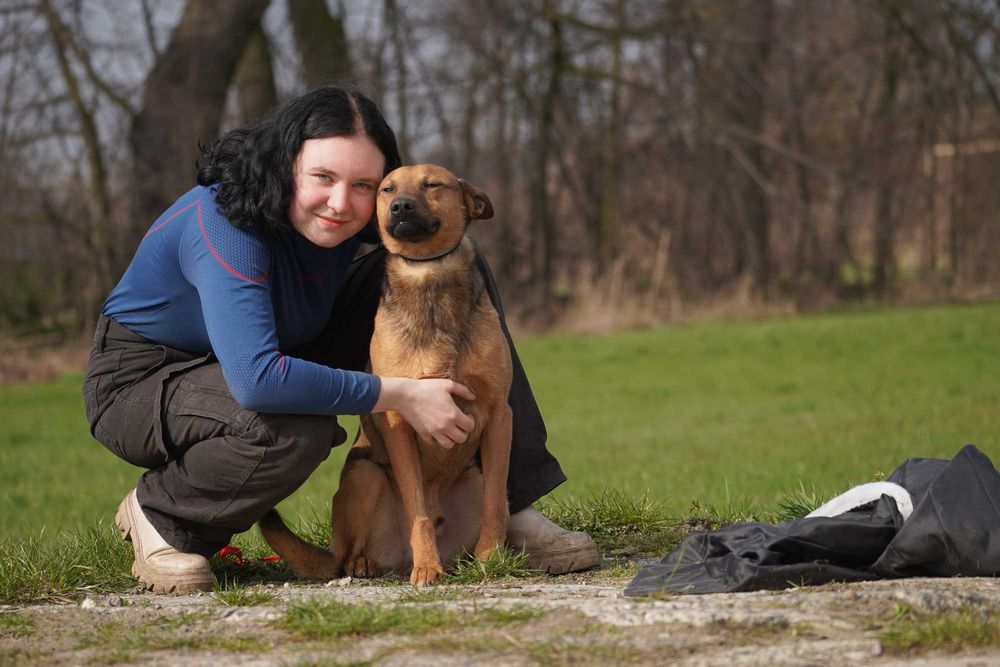 Akso - rudy pies szuka domu