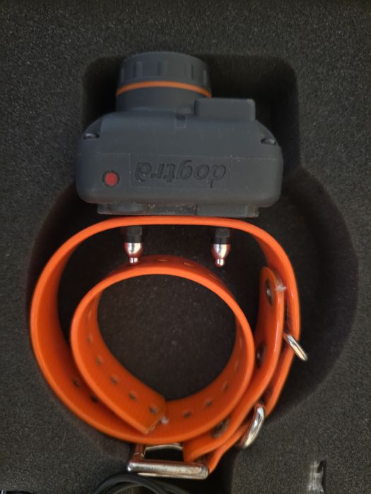 Электронный ошейник с бипером Dogtra 2500 t&b/Электроошейник