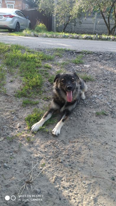 Безкоштовно. Дуже гарна молоденька дівчинка