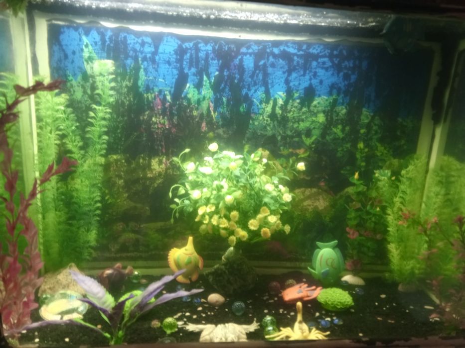 Продам аквариум ручной работы