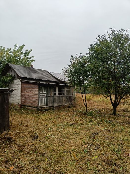 Будинок у мальовничому селі біля Десни, лісів та озер