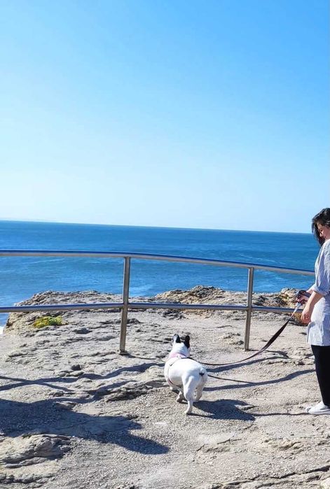 Pet setting, dog walking, day care, Hospedagem cães e passeios