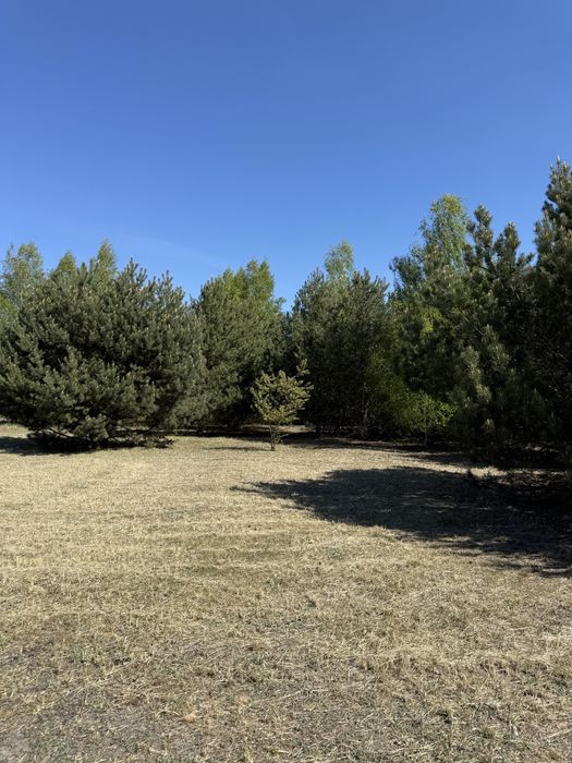 Działka budowlana 1288 m² z prądem Adamowa Góra - Widok 5