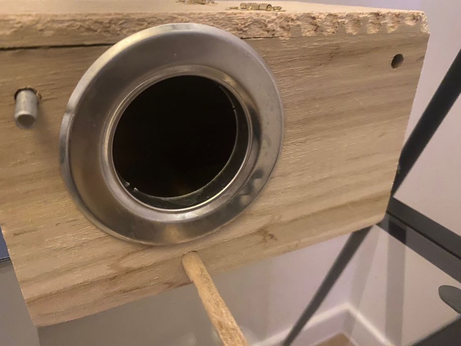 Domek lęgowy dla papug