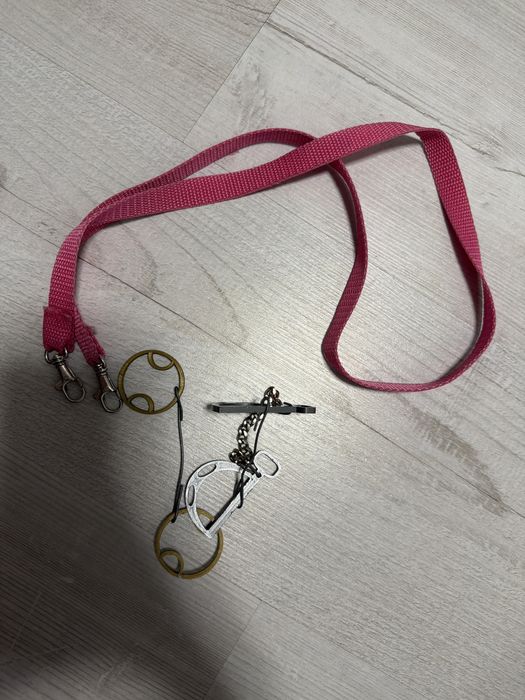 Hobby horse z piekną odmianką