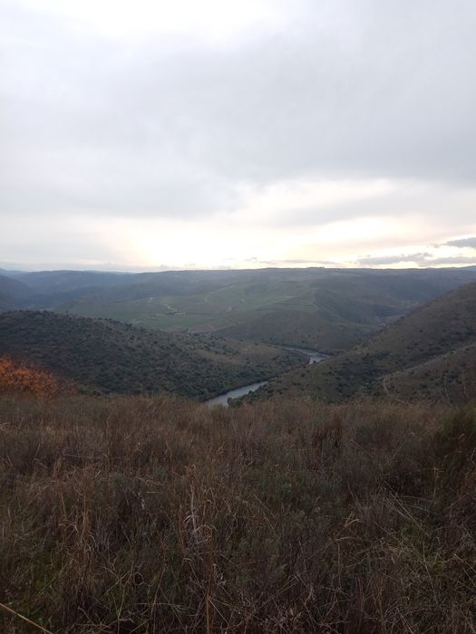 Terreno de 0,460 hectares