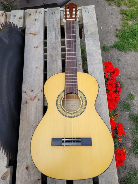 Gitara Hebert Schaffner Torella model 50