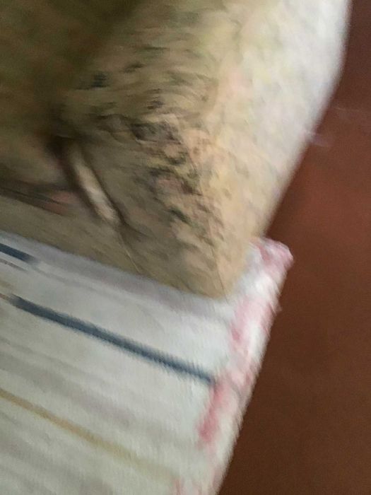 sofá individual com tecido padrão