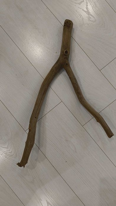 Коряги в акваріум або тераріум.