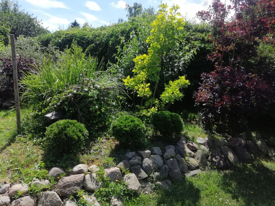 Działka ROD blisko centrum miasta