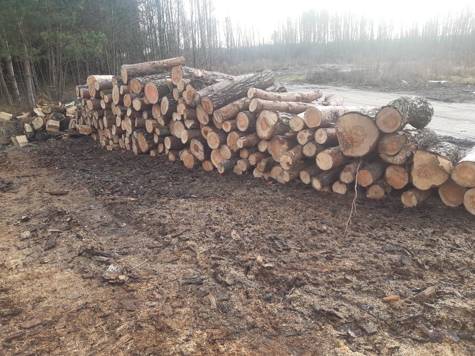 Drewno kominkowe, opałowe, brzoza, olcha, dąb, sosna