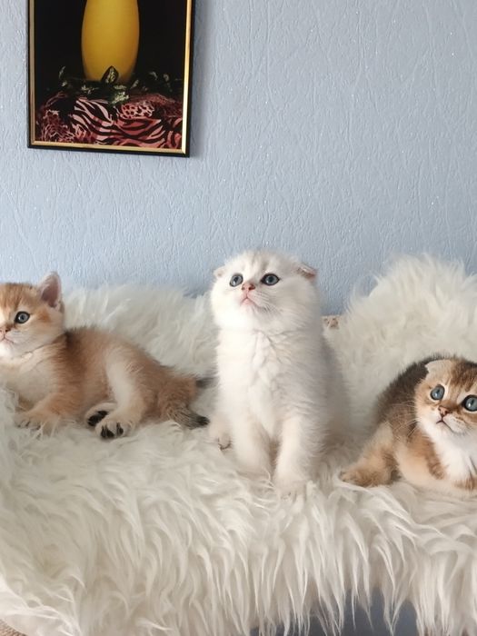 Дуже милі хлопчики