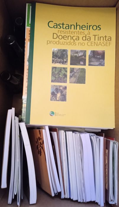 Lote de Literatura sobre Castanheiros