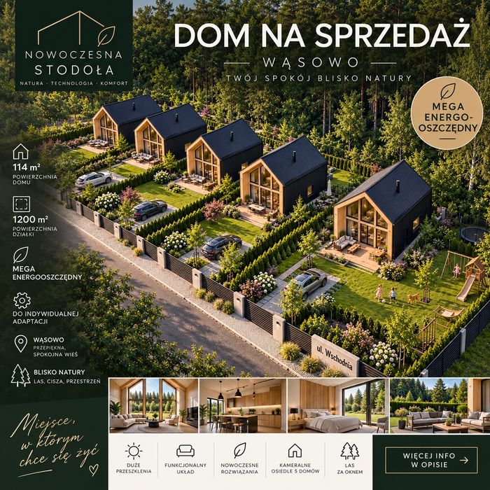 Zdjęcie 2
