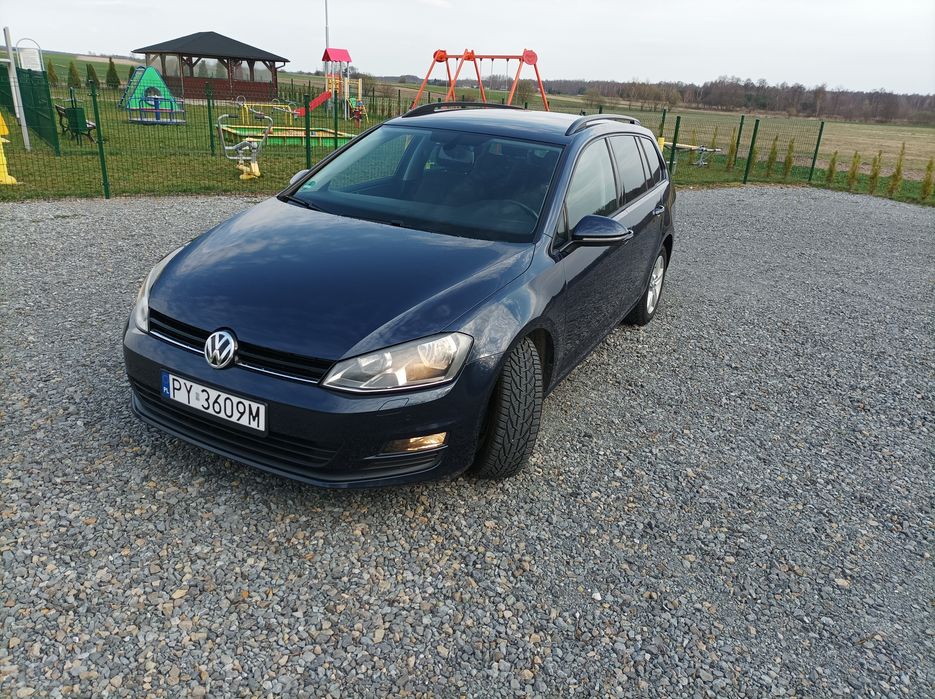 Oszczędny Golf VII