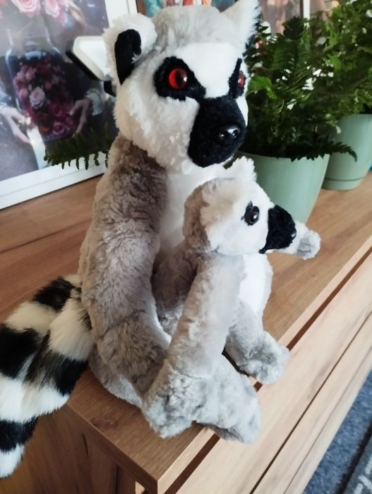 Pluszak lemur 26 cm.