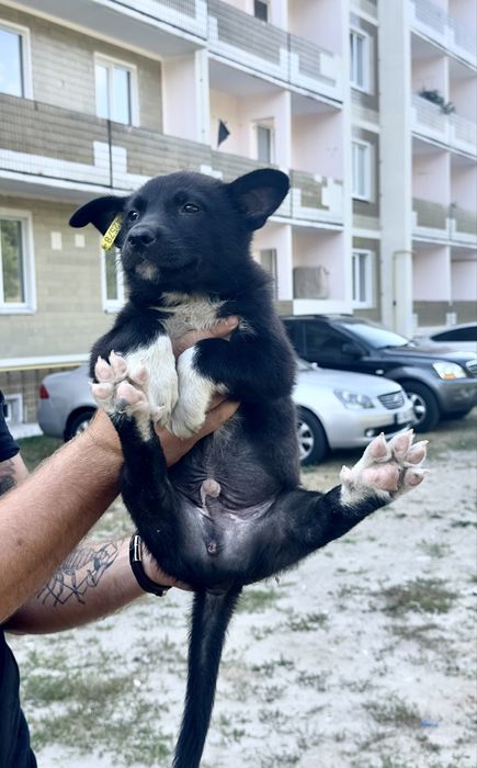 Хлопчик шукає родину!
