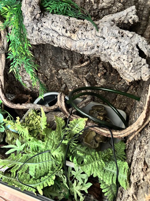 Terrarium 120 agama legwan kameleon bazyliszek