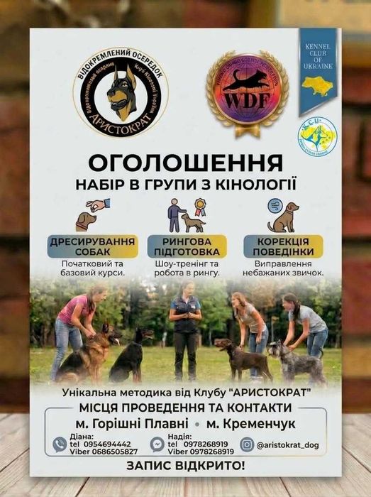 Кінолог.Дресерування