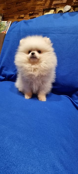 Гарненький Хлопчик!