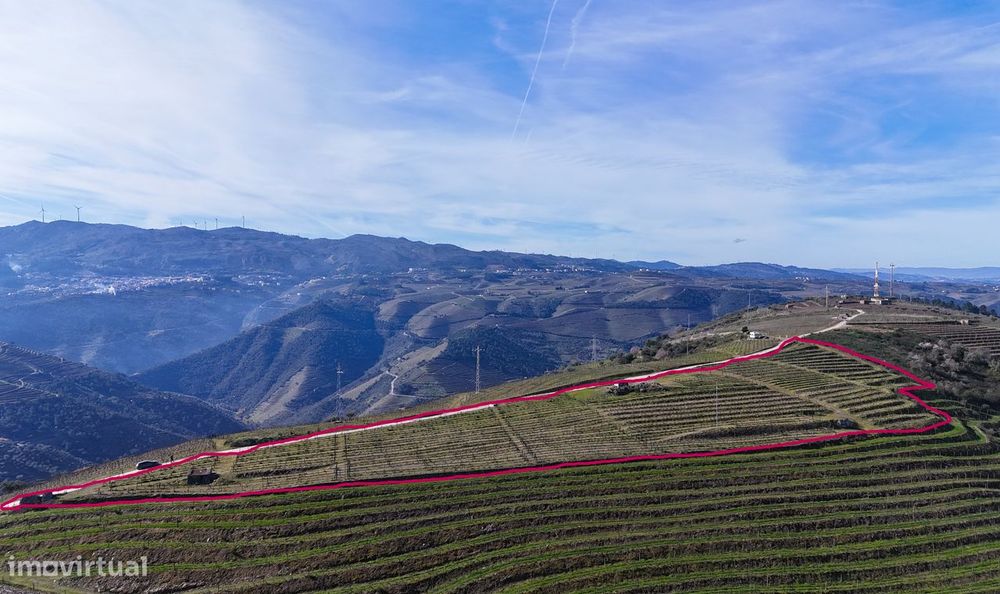 Vende-se terreno rústico em Valença do Douro - Tabuaço