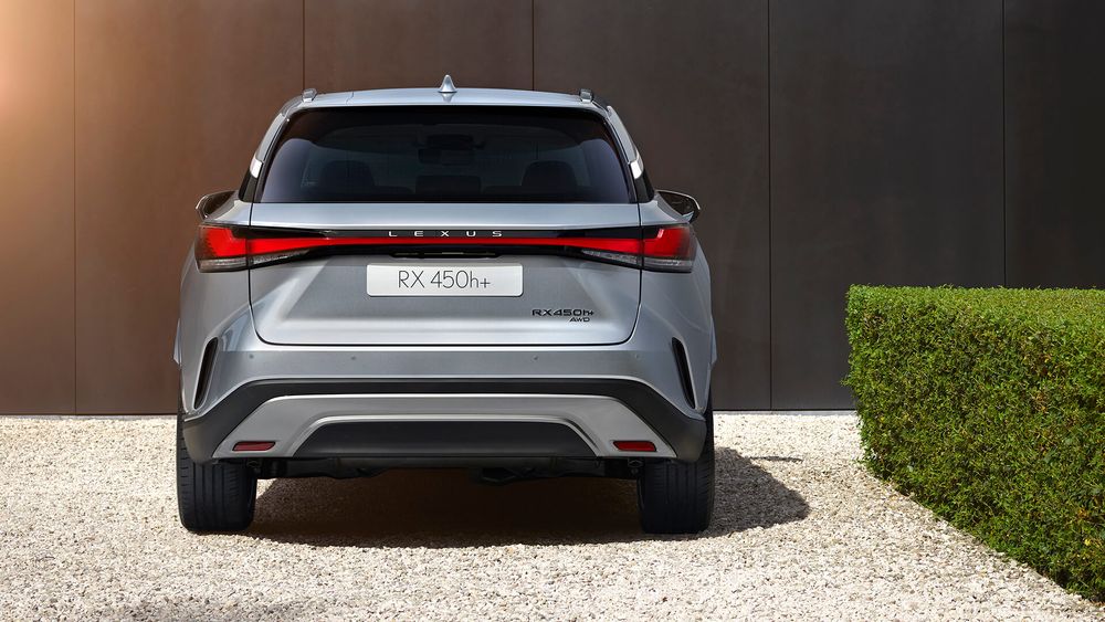 Zdjęcie w galerii numer 6