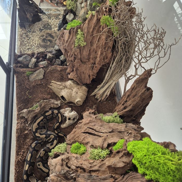 Terarium z wyposażeniem