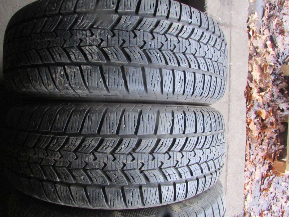 225/60/17 пара зимової гуми Sava Eskimos suv2