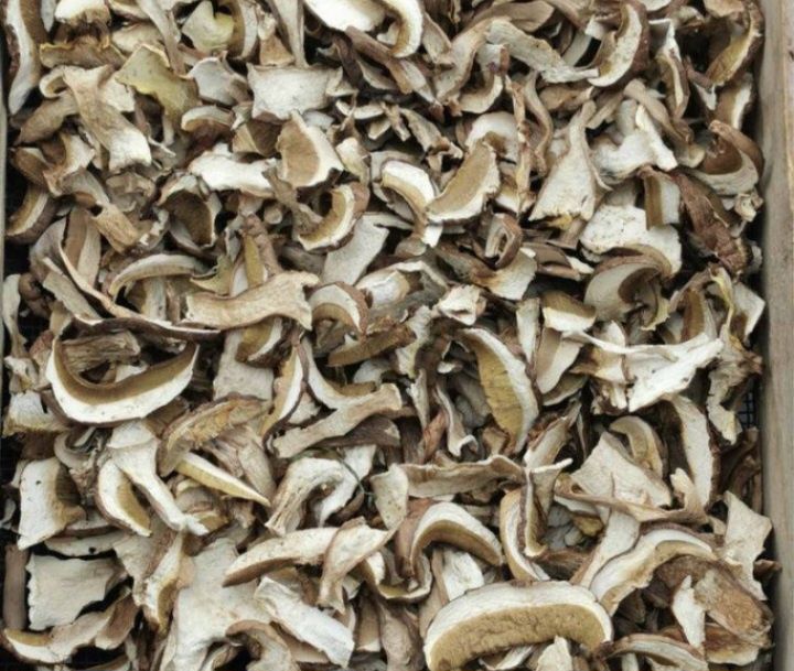 Карпатські,білі сушені гриби
