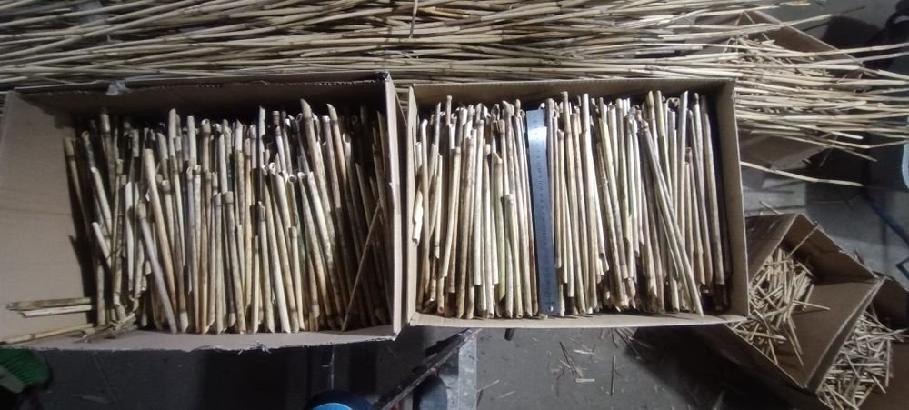 Trzcina pszczoła murarka domek dla pszczół owadów