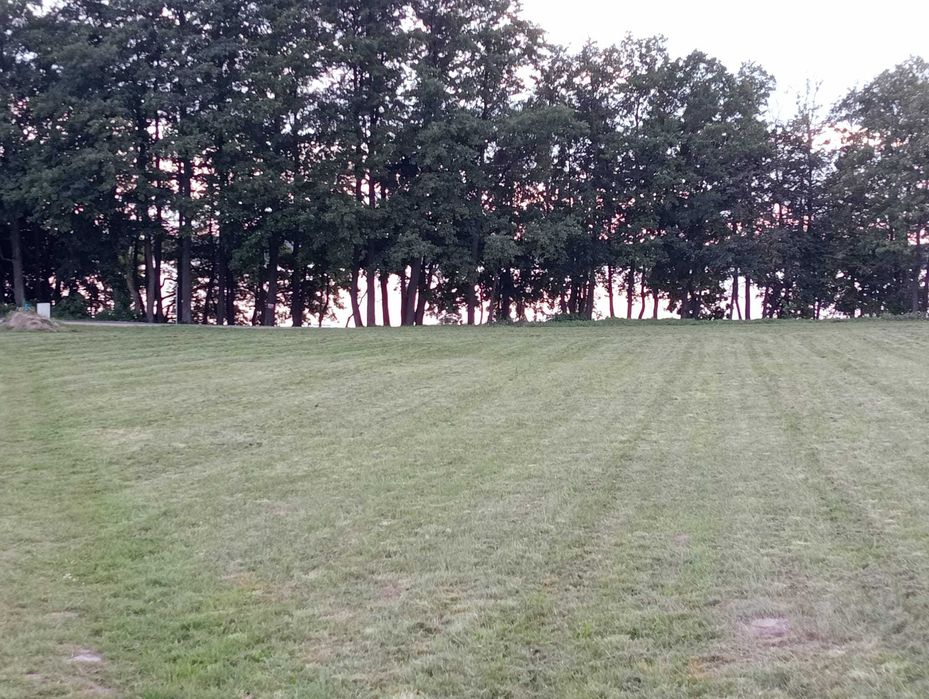 Działka Trygort Zwierzyniecki Róg