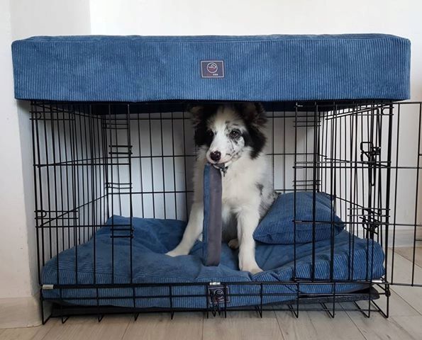 Klatka Kojec Transporter - Duża Klatka Kennelowa Dla Psa L- 92x57x63cm