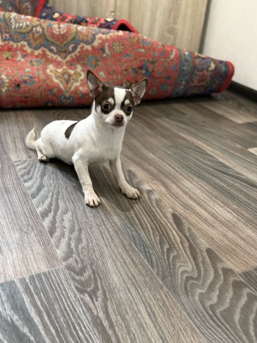 Розпродаж.хлопчик за супер ціною