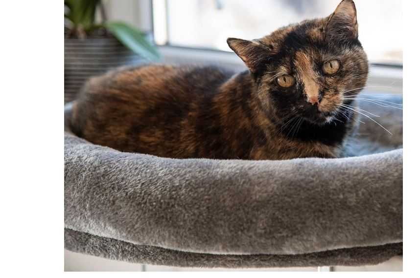 - 55% taniej* nowa leżanka 70zł