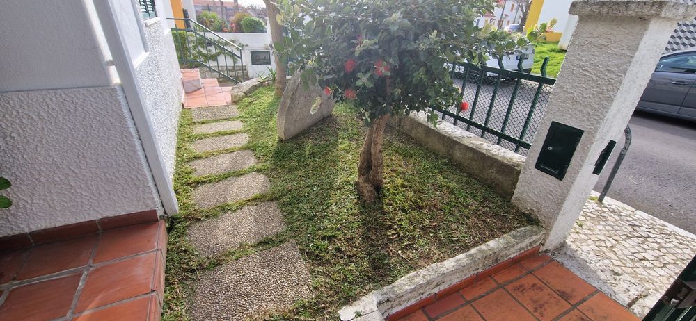 Serviço de jardim e etc.