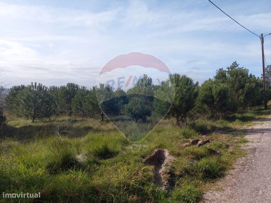Terreno  para venda — Almagreira, Leiria