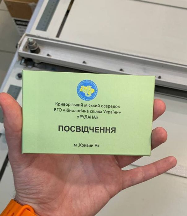 Кінолог Харків. Або Online
